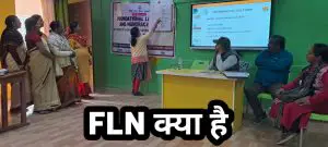 FLN मिशन क्या है? FLN FULL FORM IN HINDI